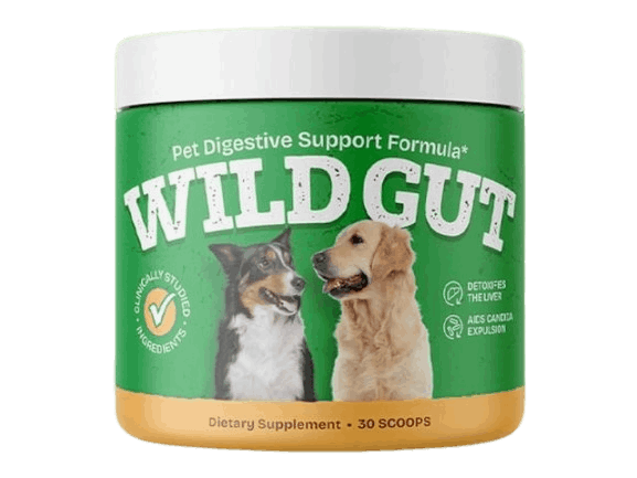 WildGut™: America’s #1 Dog Gut Health Formula – Save 40% Today